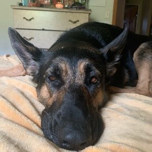 Meet your Posher, Julyssa